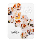 Pet Memorial Modern Simple 10 Photo Collage Kaart Magneet (Verticaal)