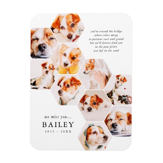 Pet Memorial Modern Simple 10 Photo Collage Kaart Magneet (Verticaal)