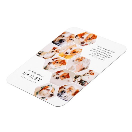 Pet Memorial Modern Simple 10 Photo Collage Kaart Magneet (Linkerzijde)