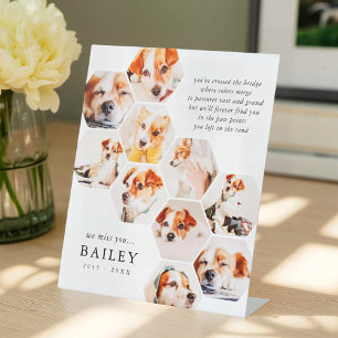 Pet Memorial Modern Simple 10 Photo Collage Kaart Reclamebord Met Voetstuk