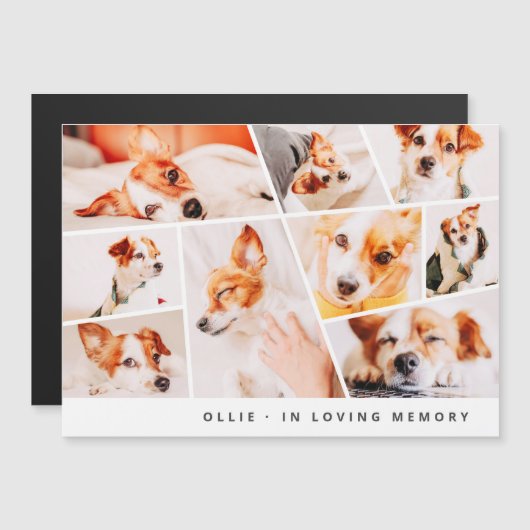 Pet Memorial Modern Simple 9 Photo Collage Kaart (Voorkant / Achterkant)