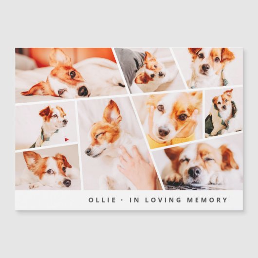 Pet Memorial Modern Simple 9 Photo Collage Kaart (Voorkant)