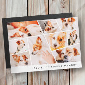 Pet Memorial Modern Simple 9 Photo Collage Kaart
