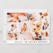 Pet Memorial Modern Simple Chic 9 Foto's Collage (Voorkant)