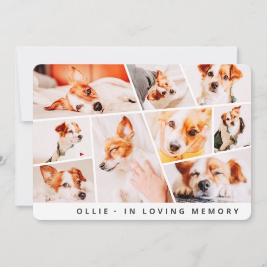 Pet Memorial Modern Simple Chic 9 Foto's Collage (Voorkant)