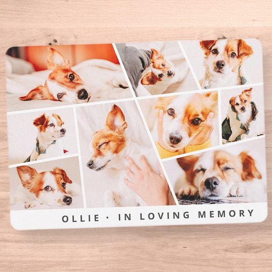 Pet Memorial Modern Simple Chic 9 Foto's Collage