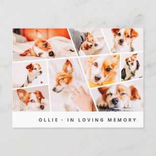 Pet Memorial Modern Simple Chic 9 Foto's Collage Briefkaart