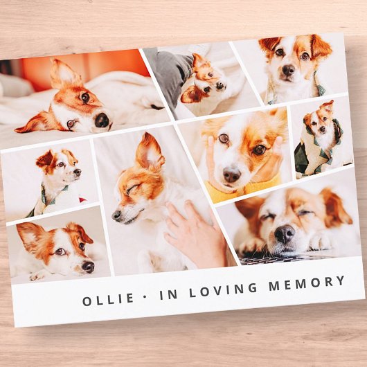Pet Memorial Modern Simple Chic 9 Foto's Collage Briefkaart