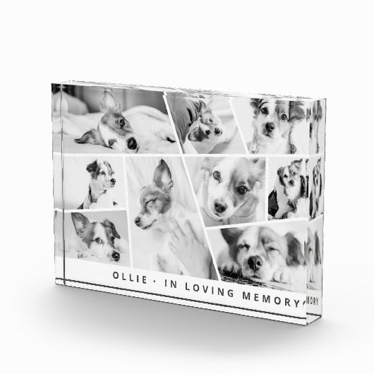 Pet Memorial Modern Simple Chic Collage Fotoblokken (Rechts)