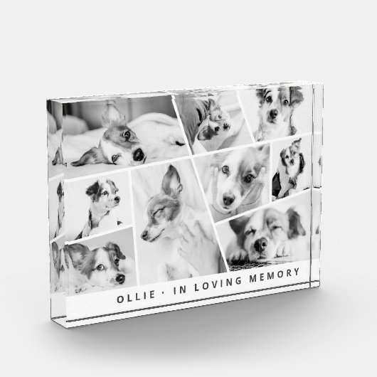 Pet Memorial Modern Simple Chic Collage Fotoblokken (Links)