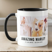 Pet Memorial Modern Simple Chic Custom Three Foto Mok