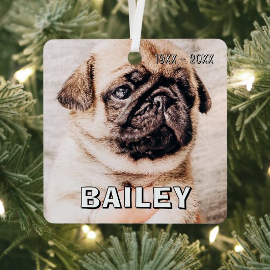 Pet Memorial Modern Simple Custom Photo Metalen Ornament (Insitu)