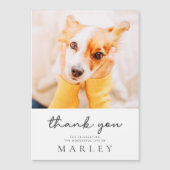 Pet Memorial Modern Simple Minimalist Chic Foto (Voorkant)