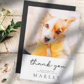 Pet Memorial Modern Simple Minimalist Chic Foto