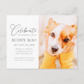 Pet Memorial Modern Simple Minimalist Chic Foto Briefkaart (Voorkant)