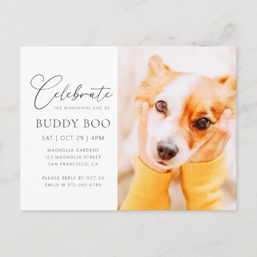 Pet Memorial Modern Simple Minimalist Chic Foto Briefkaart (Voorkant)