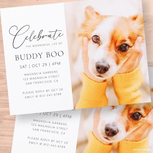 Pet Memorial Modern Simple Minimalist Chic Foto Briefkaart