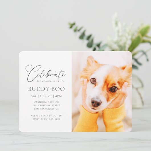 Pet Memorial Modern Simple Minimalist Chic Foto Kaart (Staand voorkant)