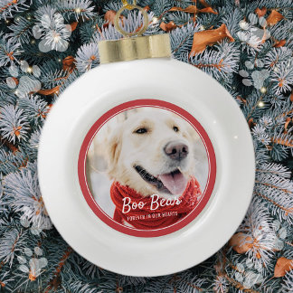 Pet Memorial Moderne Lijsten Eenvoudige foto Keramische Bal Ornament