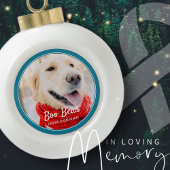 Pet Memorial Moderne Lijsten Eenvoudige foto Keramische Bal Ornament
