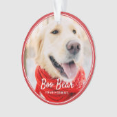 Pet Memorial Moderne Lijsten Eenvoudige foto Ornament (voorkant)