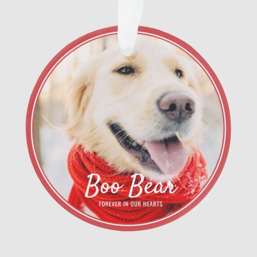 Pet Memorial Moderne Lijsten Eenvoudige foto Ornament (voorkant)