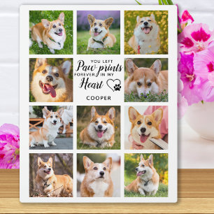 Pet Memorial Paw Prints Personeelsfoto-inklage Fotoplaat