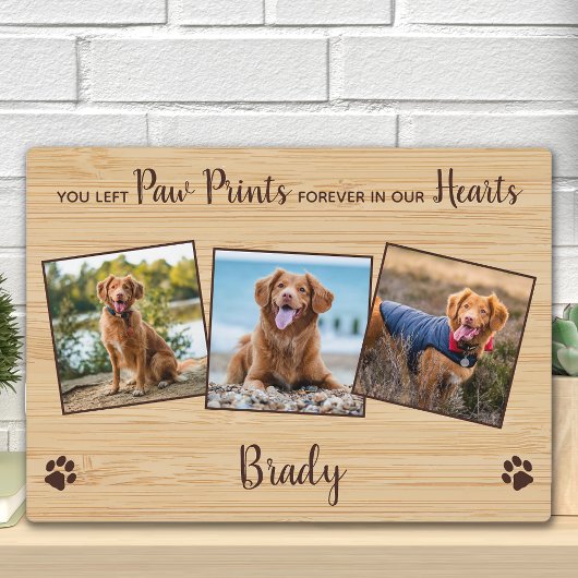 Pet Memorial Paw Prints Personeelsfoto-inklage Fotoplaat
