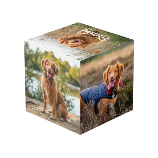 Pet Memorial Personalized Dog Keepomwille Photo Cu Kubus (Achter hoekig)