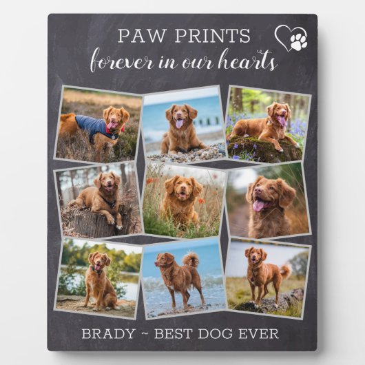 Pet Memorial Personalized Paw Prints Dog Foto Fotoplaat (Voorkant)