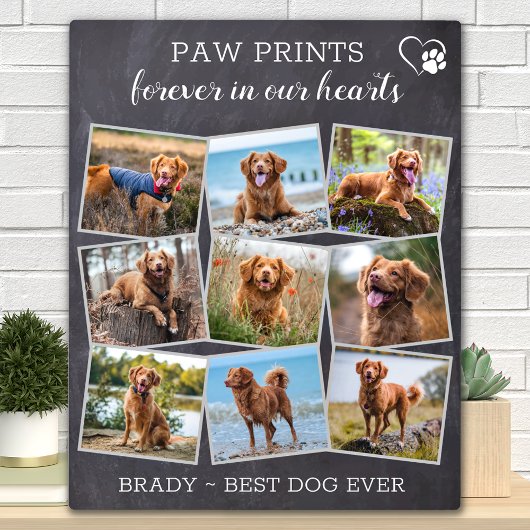 Pet Memorial Personalized Paw Prints Dog Foto Fotoplaat