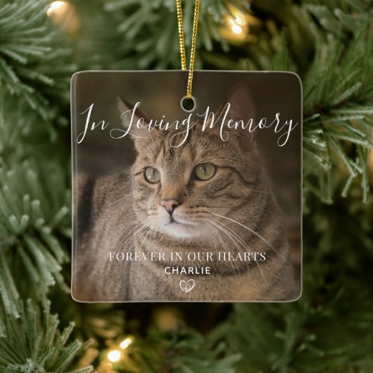 Pet Memorial Persoonlijke kat Foto Keramisch Ornament (Boom)