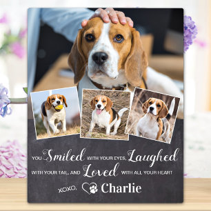 Pet Memorial Pet Loss Gift Personated 4 Foto Fotoplaat