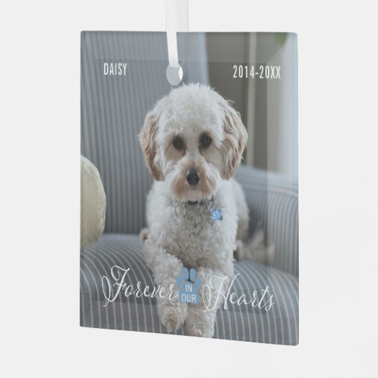 Pet Memorial Pet Loss Keepsake Foto en Naam Glas Ornament (Voorkant links)