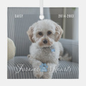 Pet Memorial Pet Loss Keepsake Foto en Naam Glas Ornament (Voorkant)