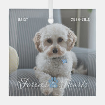 Pet Memorial Pet Loss Keepsake Foto en Naam