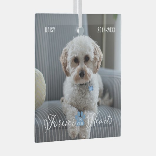Pet Memorial Pet Loss Keepsake Foto en Naam Glas Ornament (Voorkant Rechts)