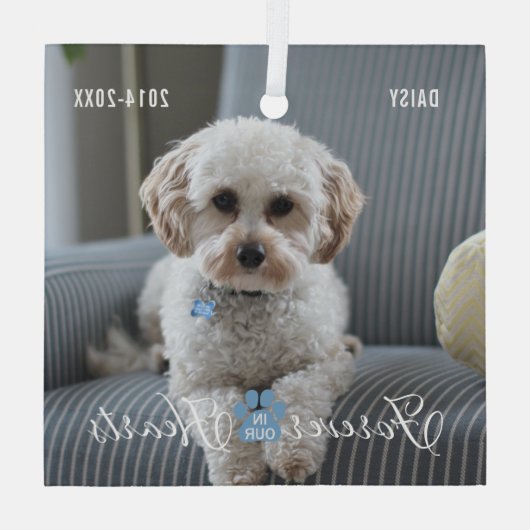 Pet Memorial Pet Loss Keepsake Foto en Naam Glas Ornament (Achterkant)