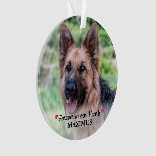Pet Memorial Pet Loss Personalized Dog Foto Ornament (voorkant)