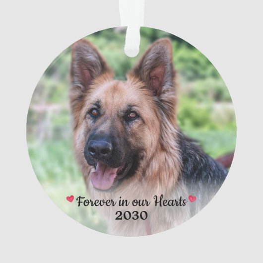 Pet Memorial Pet Loss Personalized Dog Foto Ornament (achterkant)