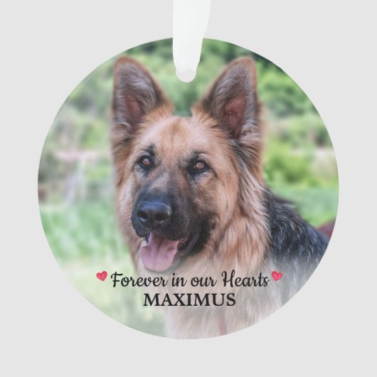 Pet Memorial Pet Loss Personalized Dog Foto Ornament (voorkant)