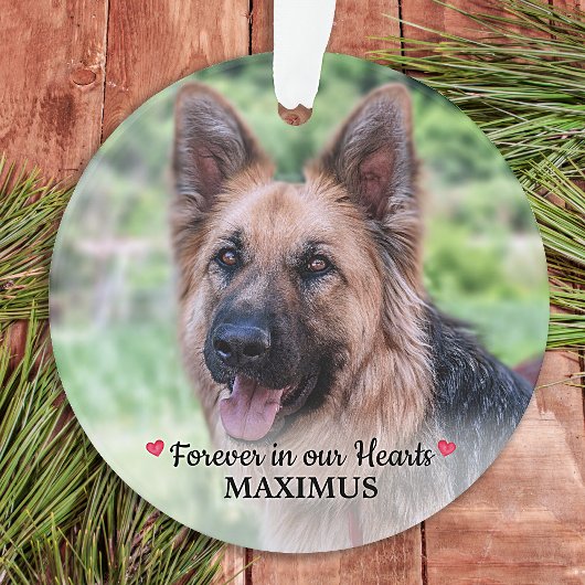 Pet Memorial Pet Loss Personalized Dog Foto Ornament