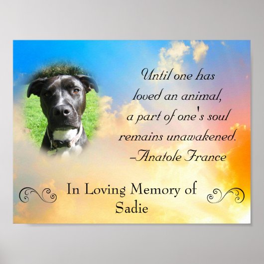 Pet Memorial - Pet Loss Quote Poster (Voorkant)