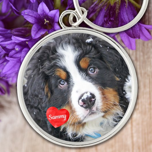 Pet Memorial Pet Loss Sympathie Dog Foto Sleutelhanger