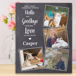 Pet Memorial Pet Loss Sympathie Keepslag 4 Foto Fotoplaat