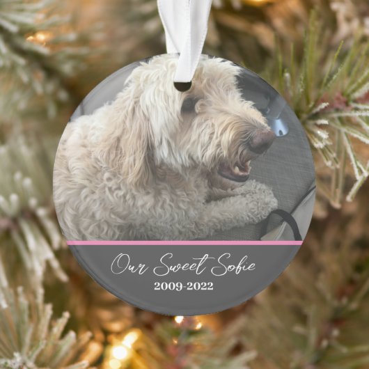 Pet Memorial  Pet Ornament (Boom)