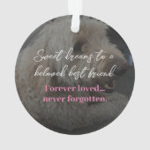 Pet Memorial  Pet Ornament (achterkant)