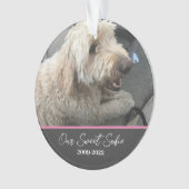 Pet Memorial Pet Ornament (voorkant)