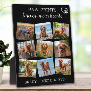 Pet Memorial Pet verliest 9 Foto's Unieke keepaard Fotoplaat
