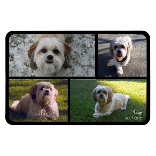 Pet Memorial Photo Collage Name with Dates Magneet (Horizontaal)
